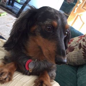 Meet your Posher, Debra